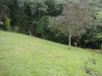 /album/linda-finca-guarne/finca-guarne-2014-085-jpg/